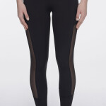 Side Sheer Legging