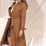 CC-BROWN-S